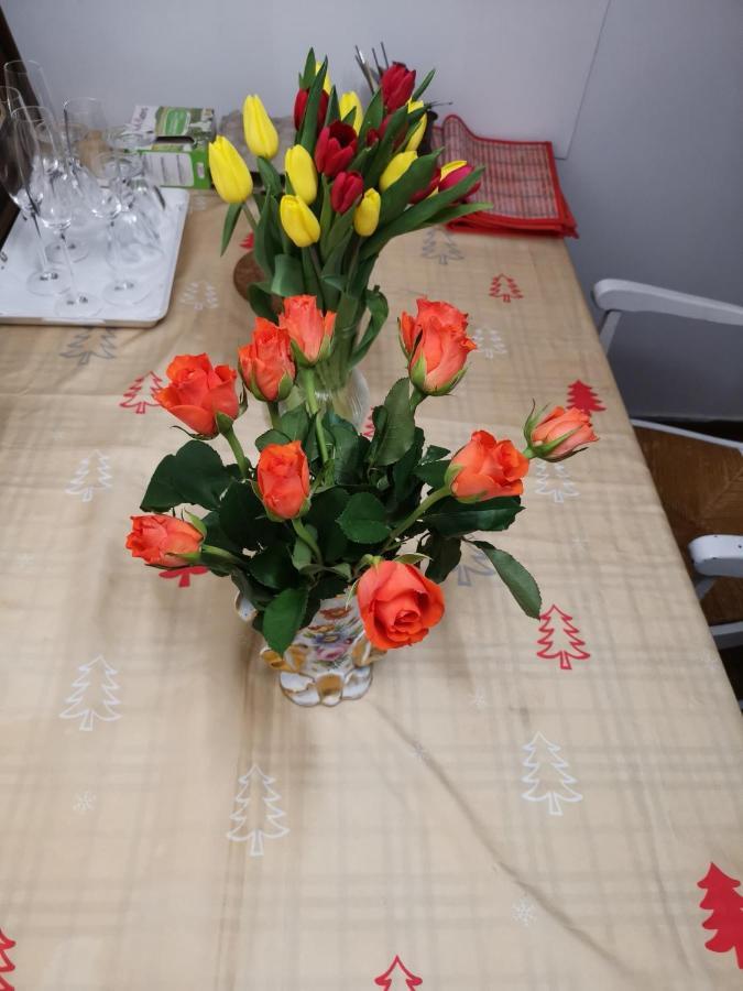 Rose Privatunterkunft *